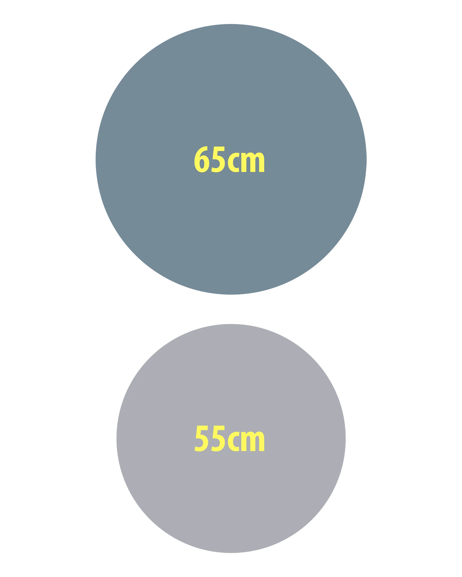 Size comparison diagram showing EQYP Pro Stability Ball in 65cm slate blue and 55cm gray